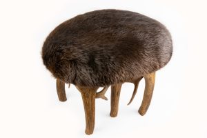 Beaver Stool with Antler