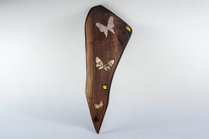Bees and Butterflies