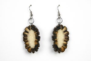 Banded Walrus Earrings